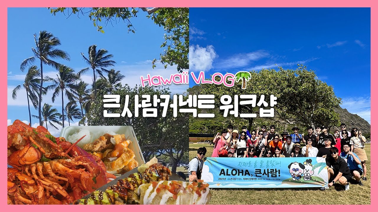 🌴하와이 VLOG ep.1ㅣ전직원 하와이 여행ㅣ워크샵을 빙자한 그냥 놀러가기ㅣ🌺하얏트리젠시,울프강스테이크,무비투어,월마트 등등